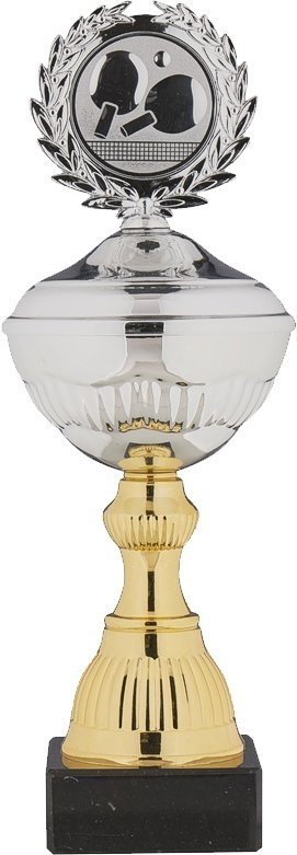 Pokal silber/gold