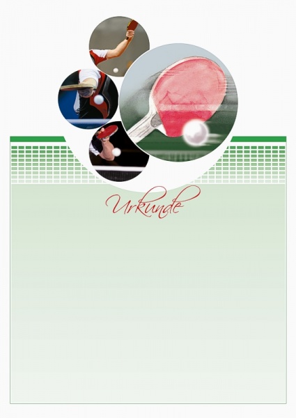 Urkunde Schläger/Hand/Ball