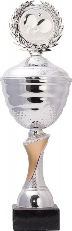 Pokal silber/gold